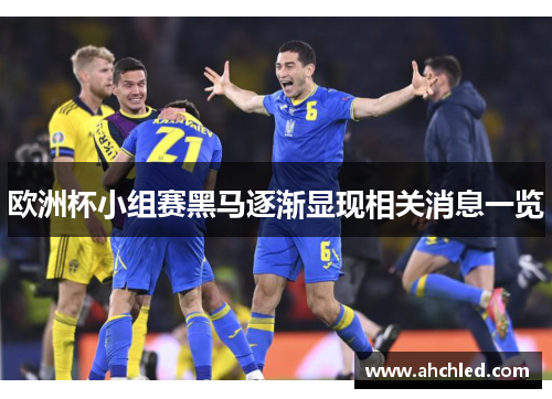 欧洲杯小组赛黑马逐渐显现相关消息一览