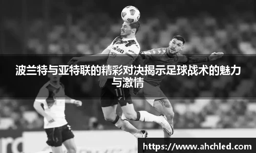 YY体育